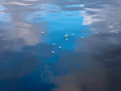 Between Two Shades of Blue