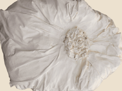 Flowers Blossomed out of Broken Concrete